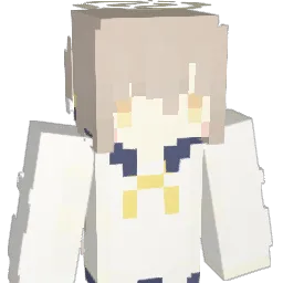 PAPIMERUfor Minecraft avatar bust