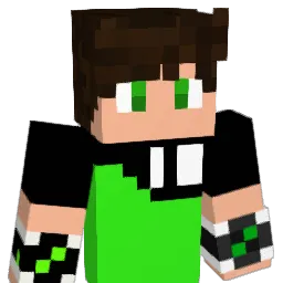 PDR___ Minecraft avatar bust