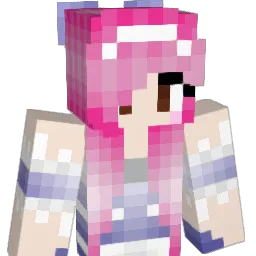 PERDIGON69's Minecraft skin