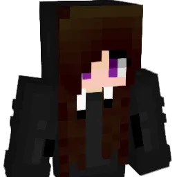 PHCT73 Minecraft avatar bust