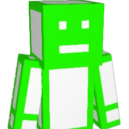 PINHEADS321 Minecraft avatar bust