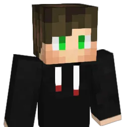 PJETTRO Minecraft avatar bust