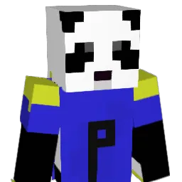 PLAYERMATHEUS3 Minecraft avatar bust