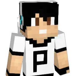 PMGAMER26 Minecraft avatar bust