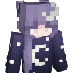 PMdu882 Minecraft avatar bust