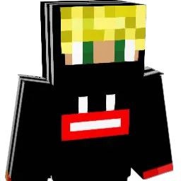 PNAN10 Minecraft avatar bust