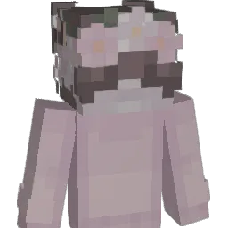 PNWstargazing Minecraft avatar bust