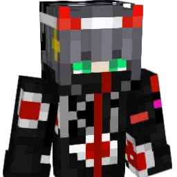 POKEDARK11 Minecraft avatar bust