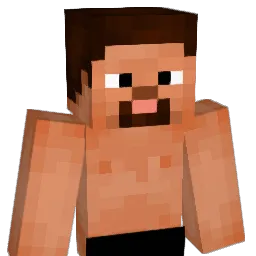 POL_C Minecraft avatar bust