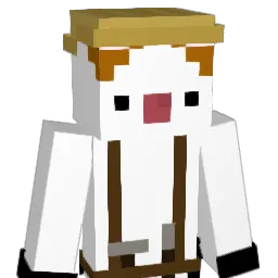 POPCAT_9 Minecraft avatar bust