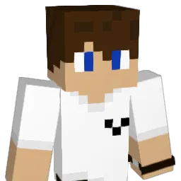 PORSHH Minecraft avatar bust