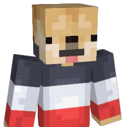PPatrick Minecraft avatar bust