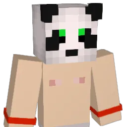 PPdestroyer4 Minecraft avatar bust