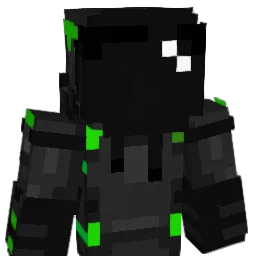 PRICE67LMAO Minecraft avatar bust