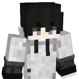 PRICEDDD Minecraft avatar bust