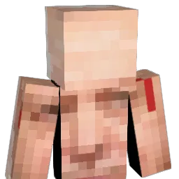 PROAKSEL Minecraft avatar bust
