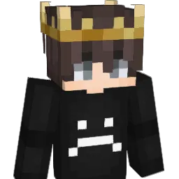 PRSL Minecraft avatar bust