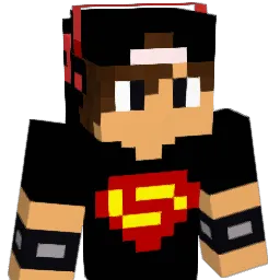 PTVertex2_0 Minecraft avatar bust