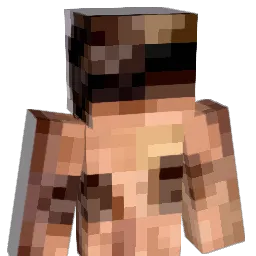 PT_Laura Minecraft avatar bust