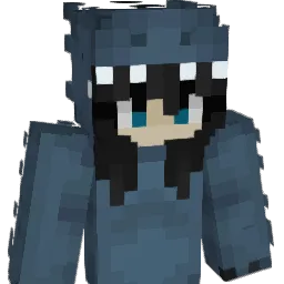 PUNKg1rll