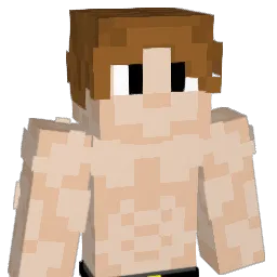 PXII's Minecraft skin