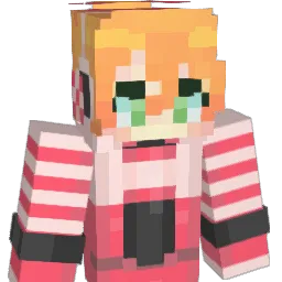 P_O_P_T_A_R_T_S Minecraft avatar bust