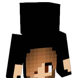 Pa4ul3 Minecraft avatar bust