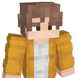 PaKSeT Minecraft avatar bust