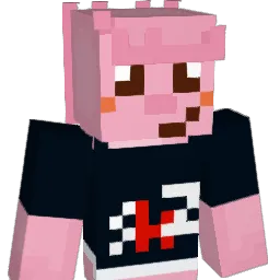 Paanky Minecraft avatar bust