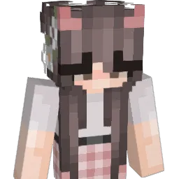 Pablo_110 Minecraft avatar bust