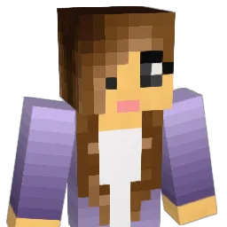 Packers1234 Minecraft avatar bust
