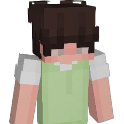 PaddyJoe Minecraft avatar bust