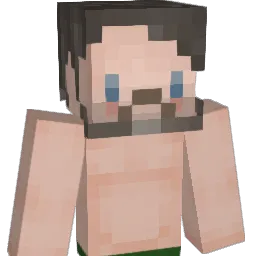 Paddysd Minecraft avatar bust