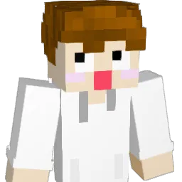Padunadu4657 Minecraft avatar bust