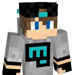 PageDown_DZN Minecraft avatar bust
