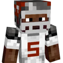 Pags24 Minecraft avatar bust
