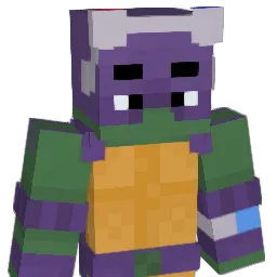 PaigeRCTurtle