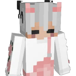 Paim1_