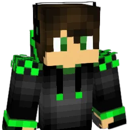 Painter35 Minecraft avatar bust