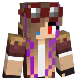 Paisley2862 Minecraft avatar bust