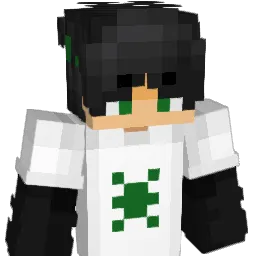 Paixoo Minecraft avatar bust
