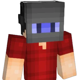 Pak06 Minecraft avatar bust