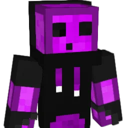 Paladin466 Minecraft avatar bust