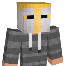 Paladin_MC Minecraft avatar bust