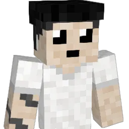 Palinko1337 Minecraft avatar bust