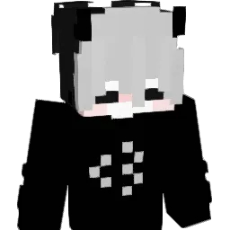 Palion400 Minecraft avatar bust