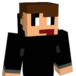 Pallimasi5 Minecraft avatar bust