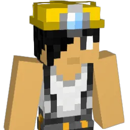Palpapuche