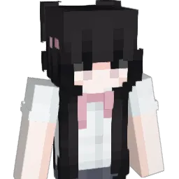 Palpitateii Minecraft avatar bust