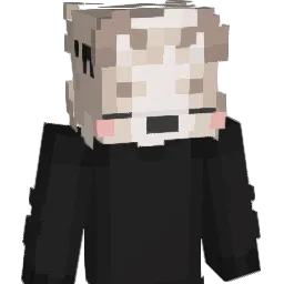 Paluu_